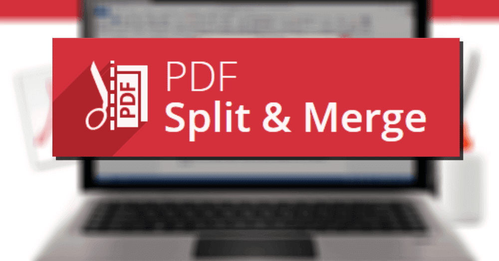 IceCraem PDF Split Merge Pro Crack - Cracklink.info