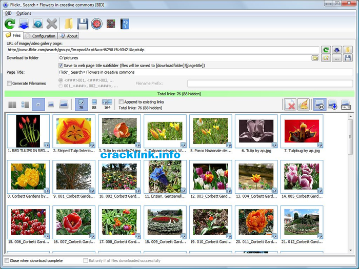 Bulk Image Downloader Crack - cracklink.info