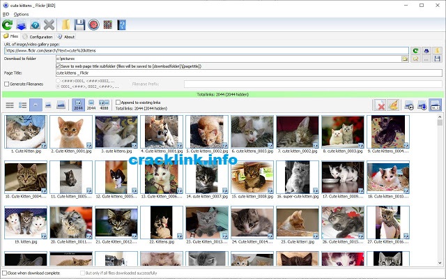 Bulk Image Downloader Crack - cracklink.info