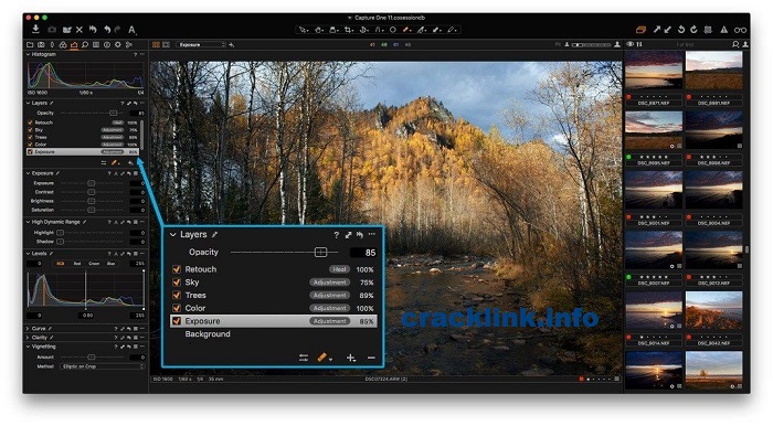 Capture One Pro Crack - cracklink.info